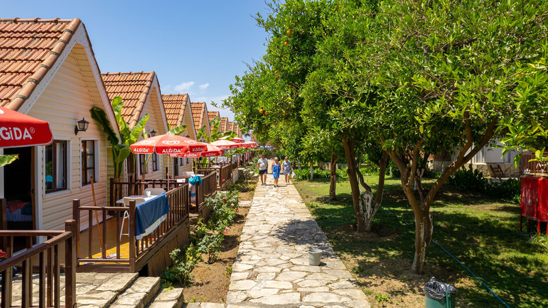 Clover Magic Nova Beach Hotel 5