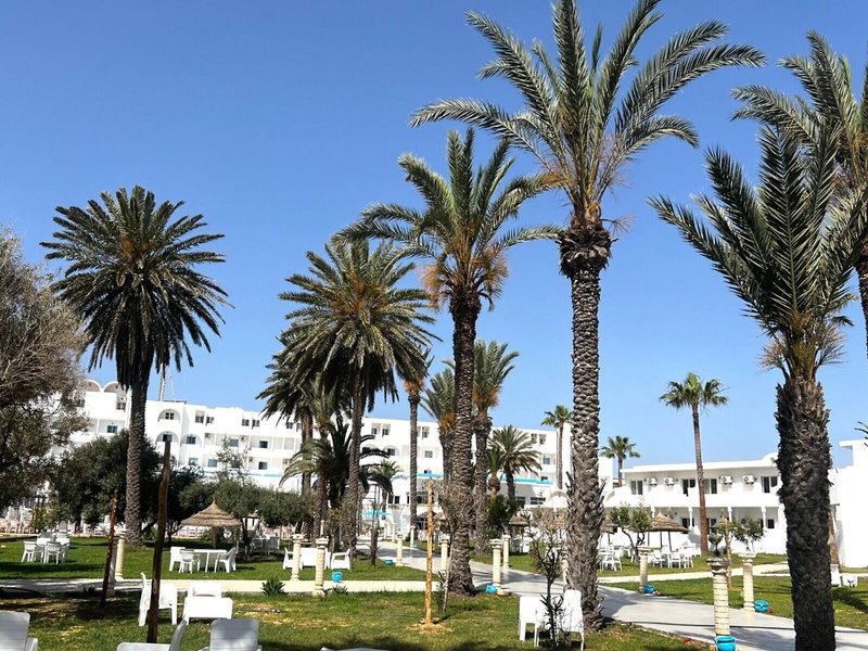 Cosmos Tergui Club 3