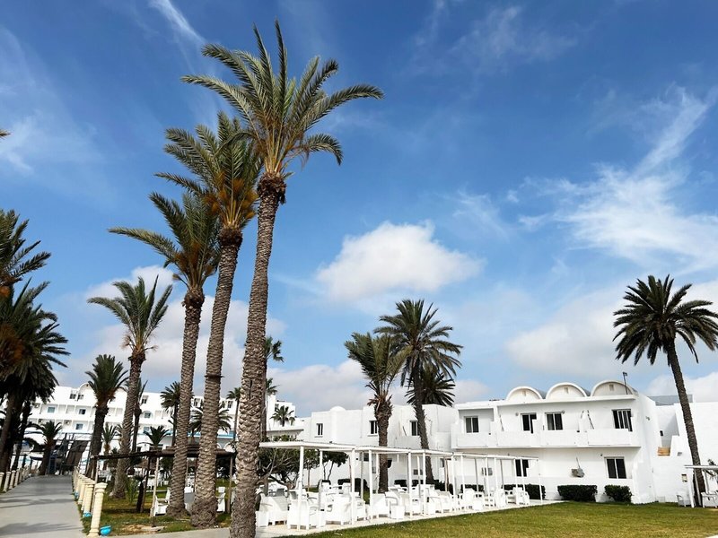 Cosmos Tergui Club 4