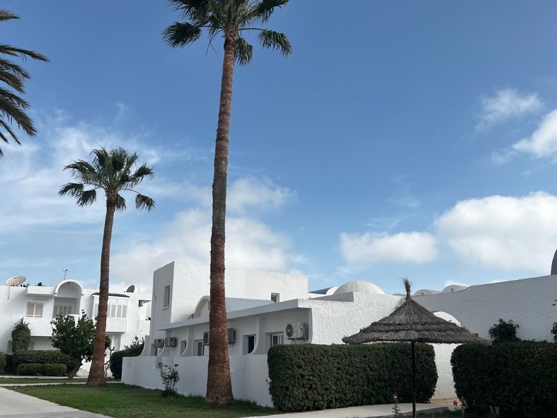 Cosmos Tergui Club 5