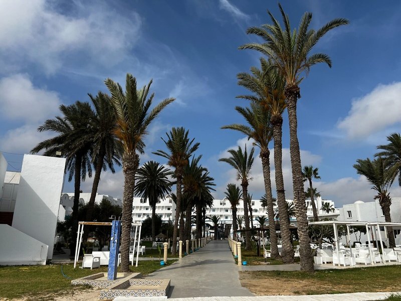 Cosmos Tergui Club 6