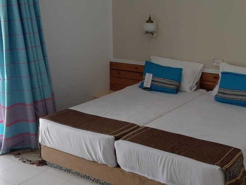 Cosmos Tergui Club 12