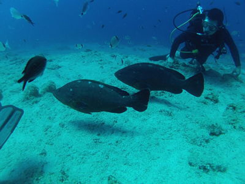 Porto Maltese Boutique Hotel 13