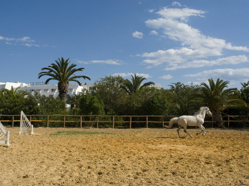 La Badira 29
