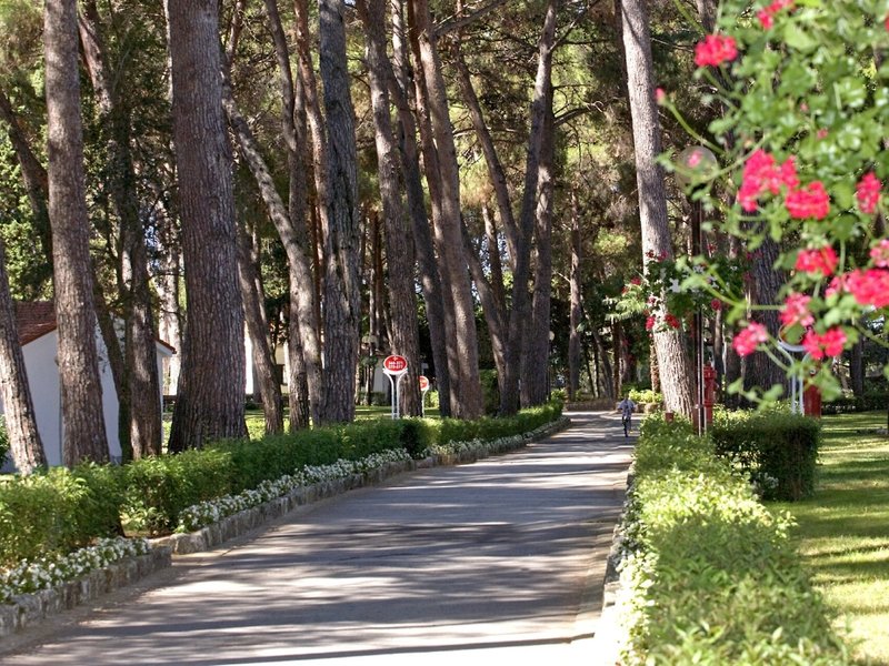Appartments Galijot Plava Laguna 2