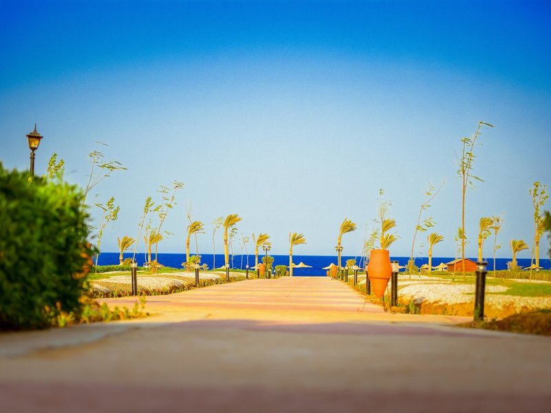 Queen Marsa Alam 19