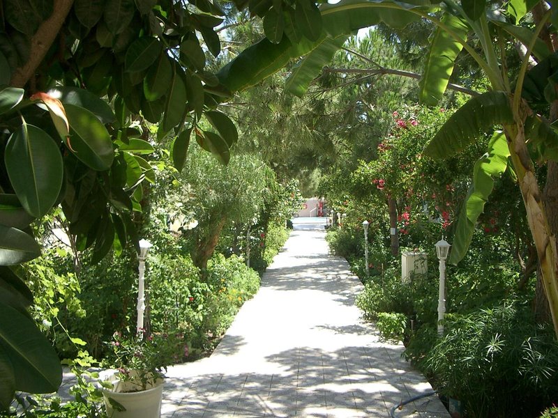 Gümbet Anil Beach 3