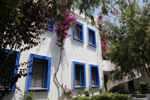 Atrium 15