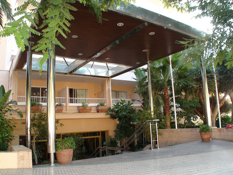Globales Mimosa 2