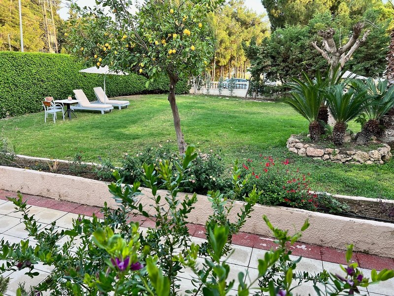 Golden Days Hotel 5