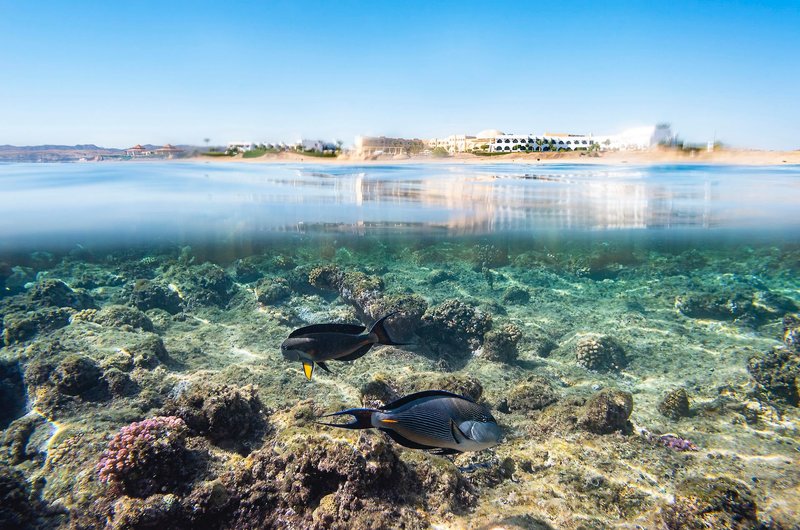 Three Corners Equinox Beach Resort 17