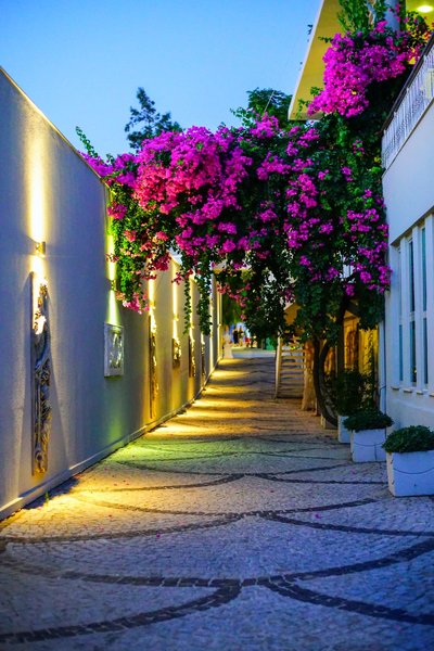 Blue Dreams Resort & Spa 9