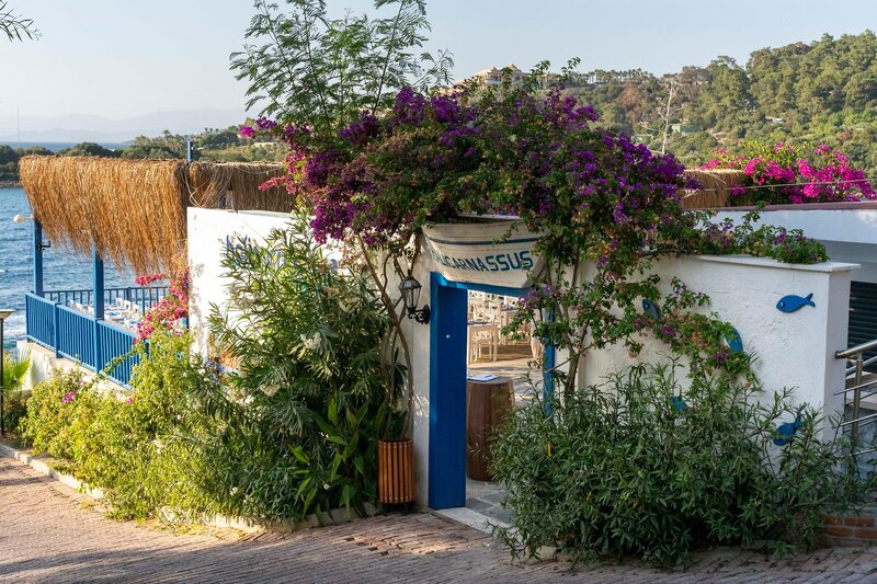 Blue Dreams Resort 15