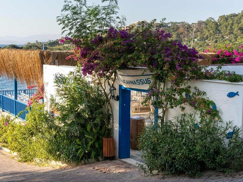 Blue Dreams Resort 46