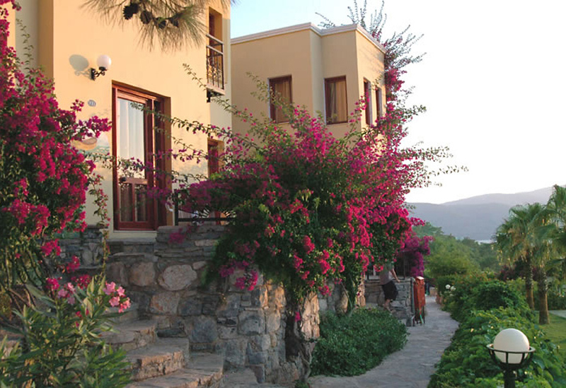 Blue Dreams Resort 6