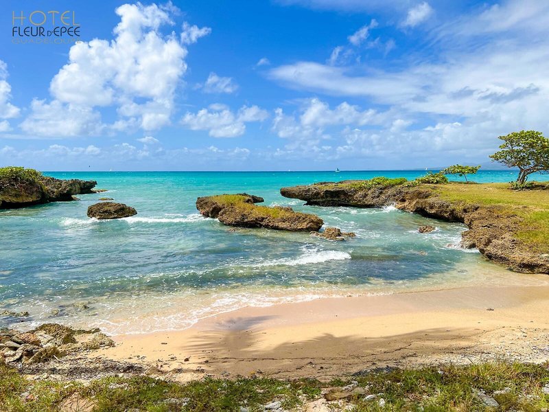 Hotel Fleur d'Epee 13