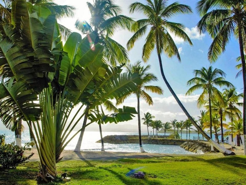 Hotel Fleur d'Epee 19