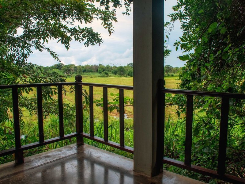 Camellia Resort and Spa 6