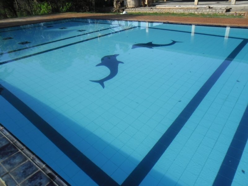 Camellia Resort and Spa 10