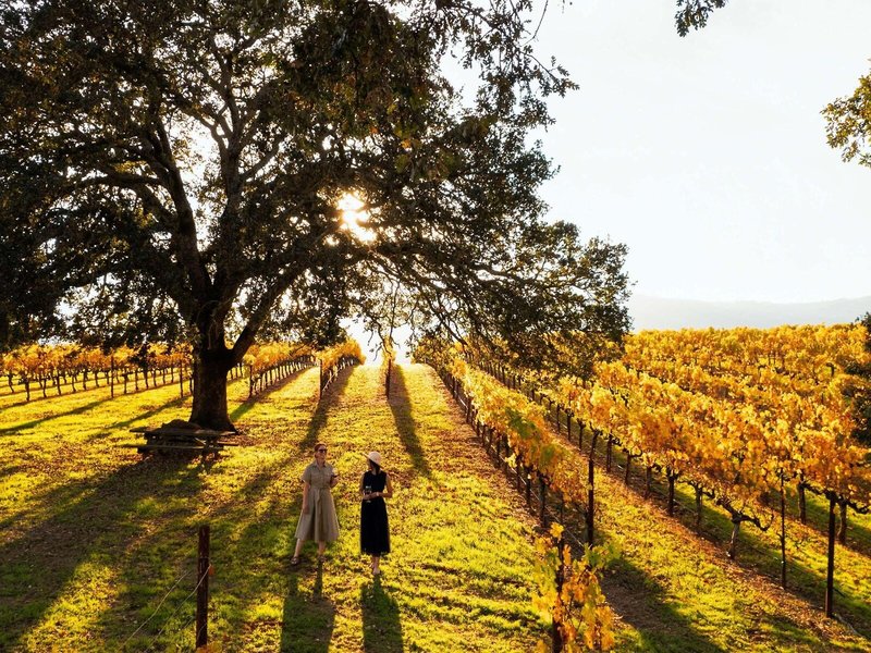 The Fairmont Sonoma Mission Inn & Spa 10