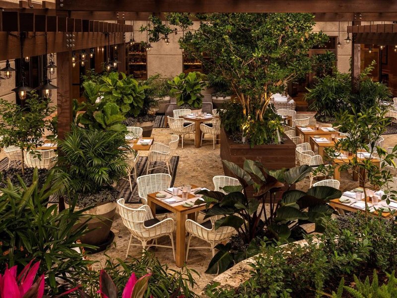 The Ritz Carlton Coconut Grove 23