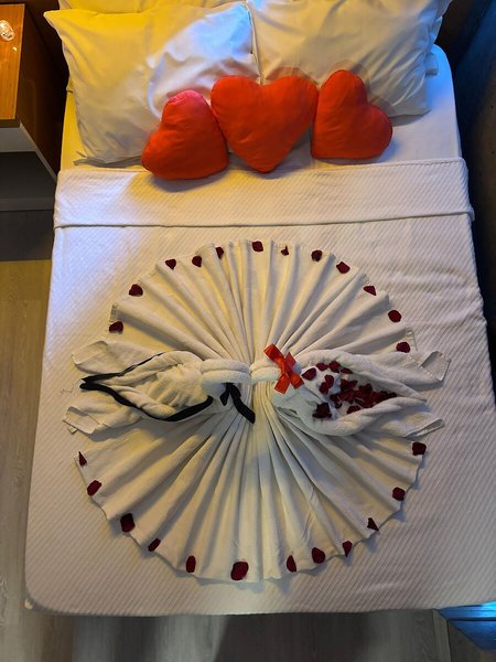 Anita Kemer Noch Hotel 16