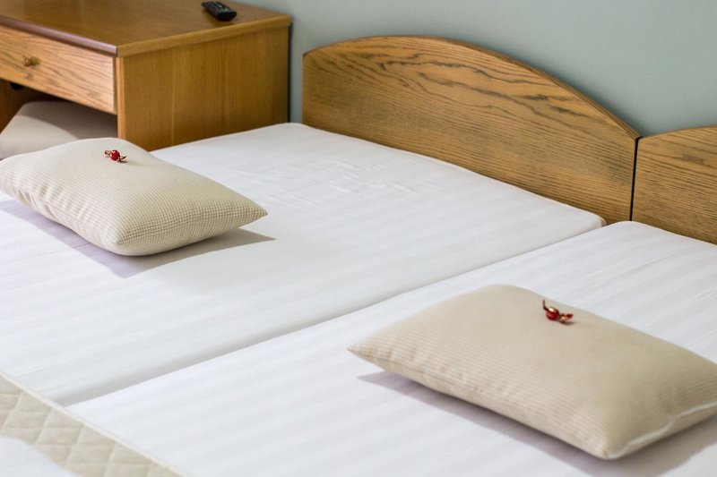 Hotel Europe 48