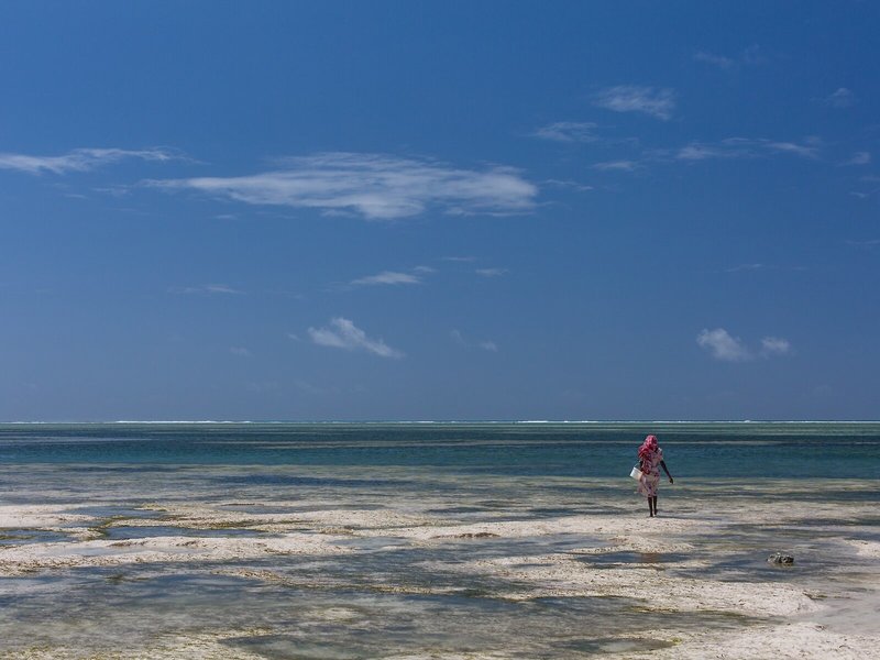 AHG Waridi Beach Resort & Spa 11