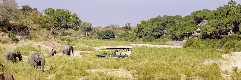 Jock Safari Lodge 12