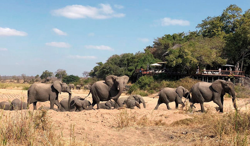 Jock Safari Lodge 15