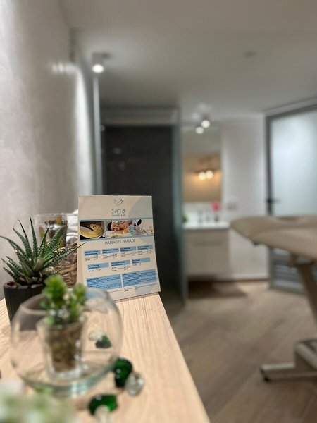 Hotel Sato 31
