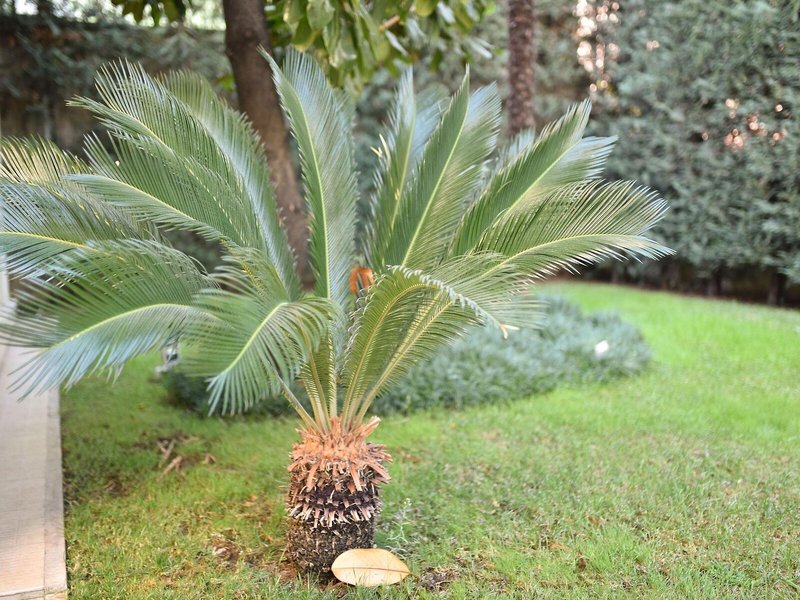 Hotel Sokrat 6 - Landscape