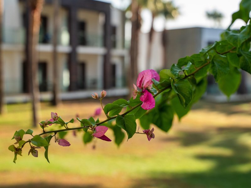 Hillstone Bodrum Hotel & Spa 7