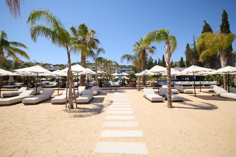 Caja by Maxx Royal 11