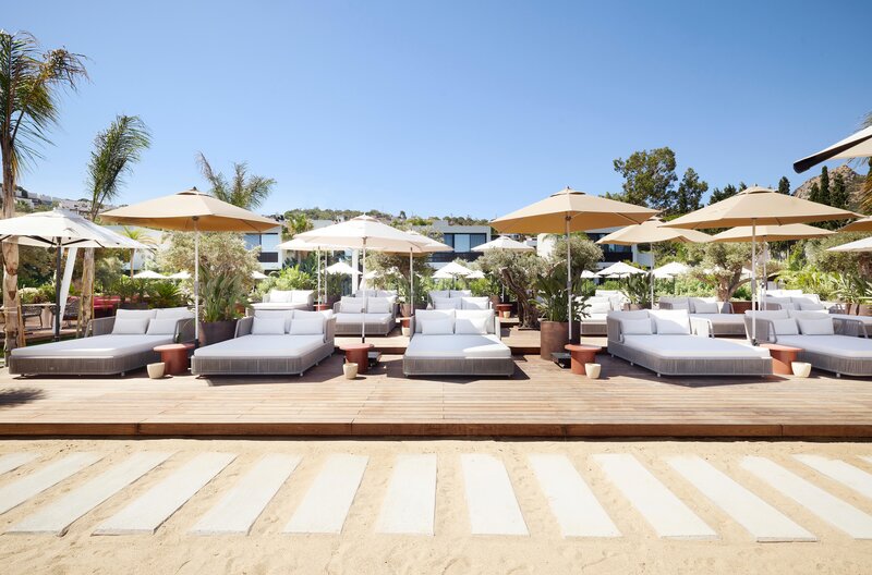 Caja by Maxx Royal 12