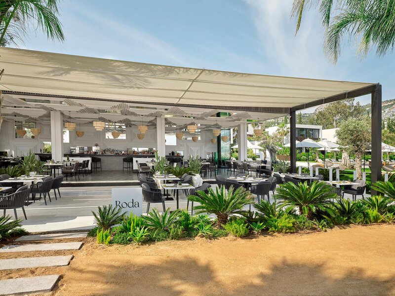 Caja by Maxx Royal 16