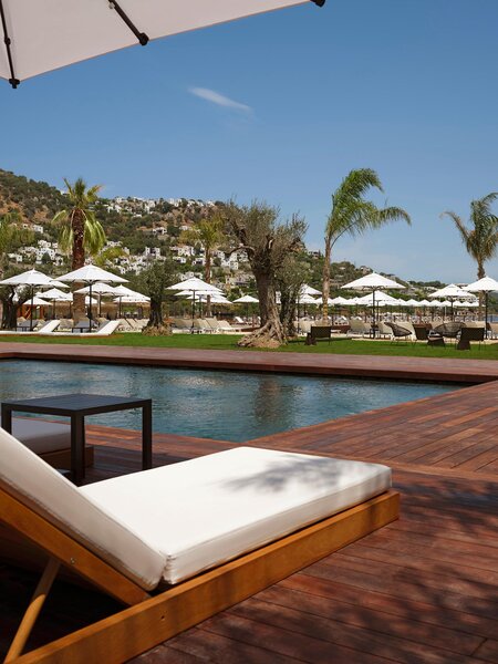 Caja by Maxx Royal 32