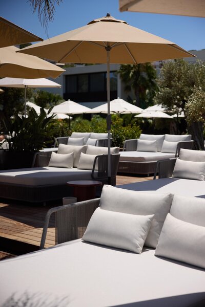 Caja by Maxx Royal 36