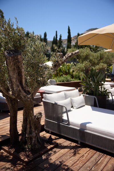 Caja by Maxx Royal 37