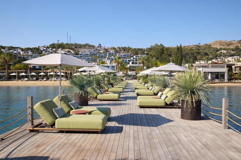 Caja by Maxx Royal 49