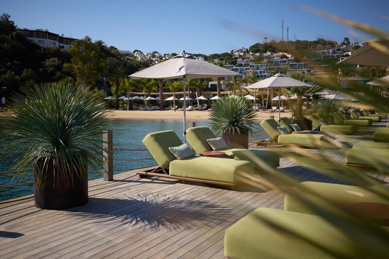 Caja by Maxx Royal 50