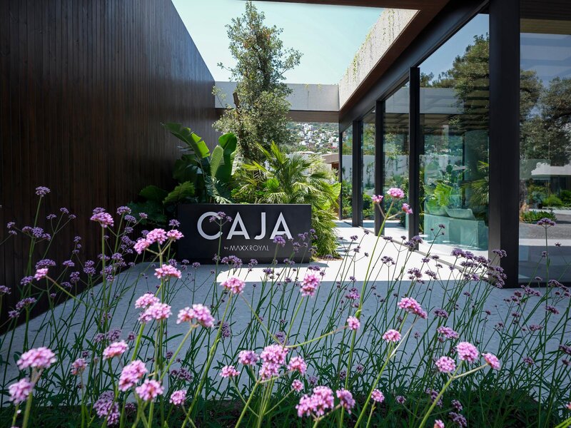 Caja by Maxx Royal 20