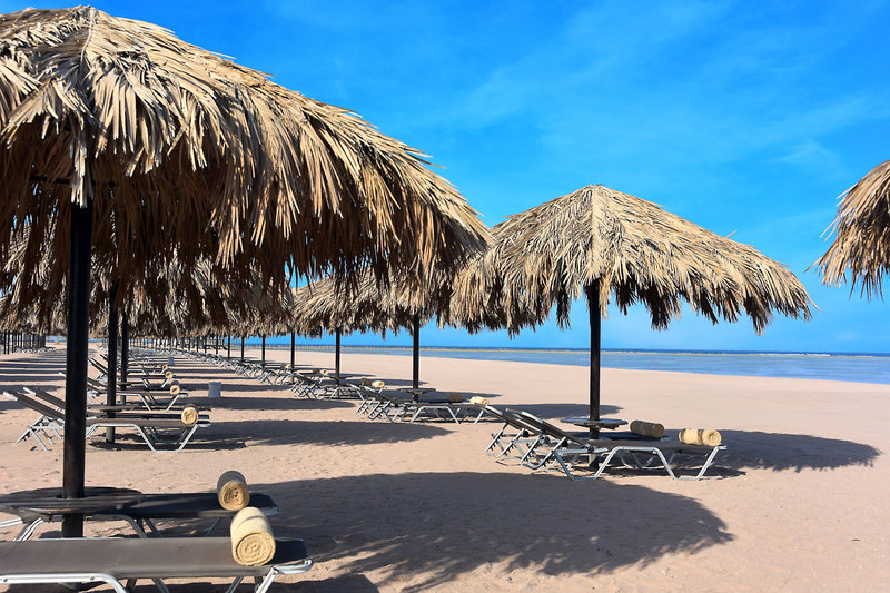 Steigenberger Alcazar 101