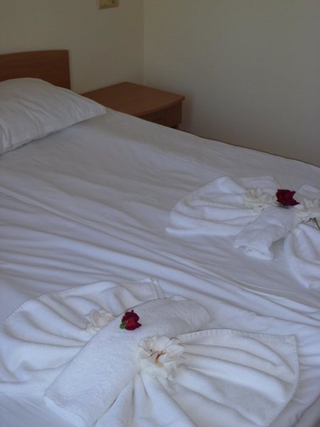 Hotel Rose Village 31