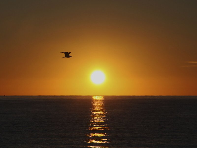 Playamar Hotel & Apartments 4