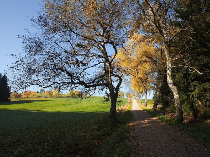 Pytloun Wellness Hotel Hasistejn 8