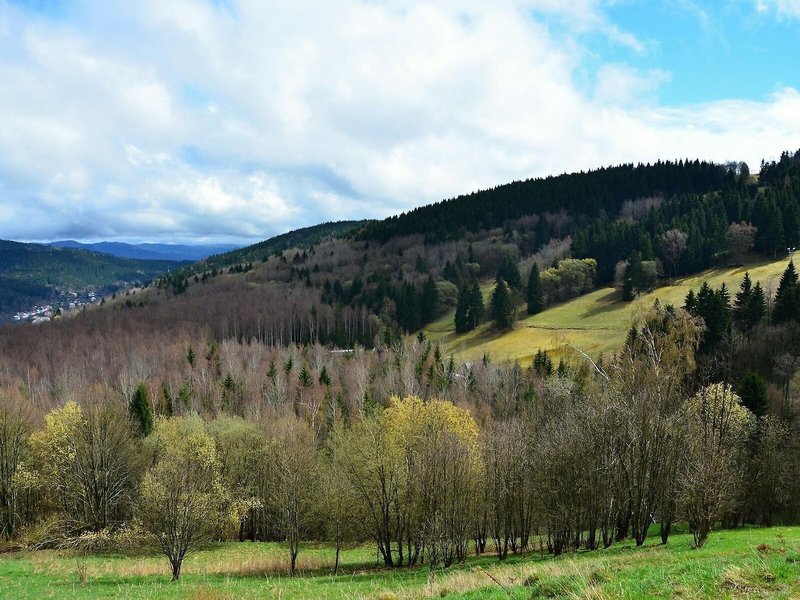 Pytloun Wellness Hotel Hasistejn 10