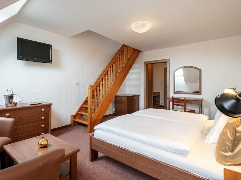 Pytloun Wellness Hotel Hasistejn 30