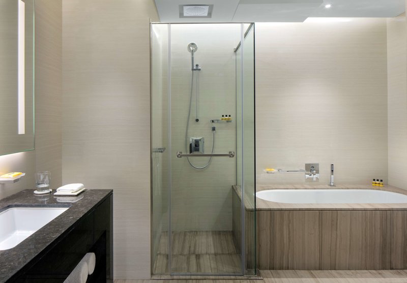 Hyatt Regency Dubai Creek Heights 10