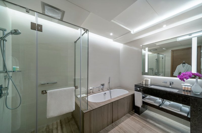 Hyatt Regency Dubai Creek Heights 13